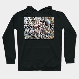 Sea of Shells Hoodie